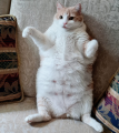 1601160993870.png