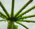 8cbd37a6-63a0-46e4-af3e-001bf0a5d404.jpg
