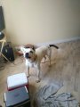 20200929_170642.jpg