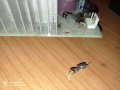 IMG_20201218_101509.jpg