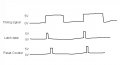 AAC Member Circuit 6.jpg