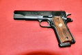 Colt1.png