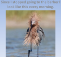 1609877469731.png