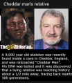 1610506972489.png