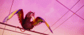 tumblr_m08dpu1tey1qc42hdo1_500.gif