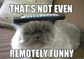 meme-cat-remote-funny-424x300.jpg