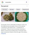 Screenshot_20210214-142017_Google.jpg