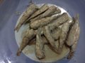 IMG20110109_009.jpg