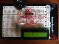 LCD 015.jpg