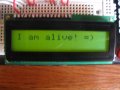 LCD 016.jpg