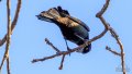 _Y729476-Edit.jpg