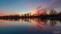 Y5D_9733.jpg