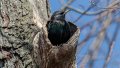 _Y729637-Edit.jpg