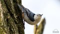 _Y720876-Edit.jpg