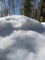 20210329_154817.jpg 20210329_154817.jpg