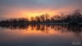Y5D_9860.jpg