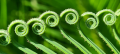 1617906297996.png