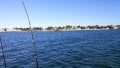 IMG_20150119_084146.jpg
