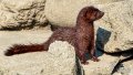 _Y725416-Edit-Edit.jpg
