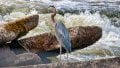 _Y725259-Edit-Edit.jpg
