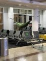1625003770471.jpg