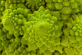 1627069270287.png