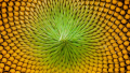 1627070357009.png