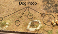1627156134101.png