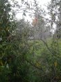 spider-web-2.jpg