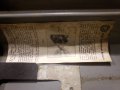 IMG_20210817_132210.jpg
