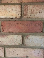 1629816037227.png
