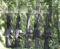 AR Rifles 1.png