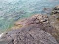 IMG_20210818_135416779.jpg