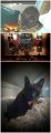 Sweety Girl remembered.jpg Sweety Girl remembered.jpg
