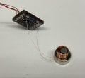 Coil With Magnet.jpg