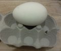 egg.jpg