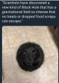 1637256209966.png 1637256209966.png