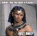 1639069433430.png