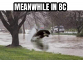 1639154135265.png