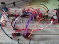 263702669_622599922519803_2278125452450434710_n.jpg