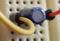 EG 1146.png