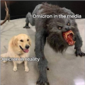 1639893338233.png