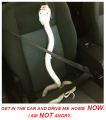 1641759964684.png
