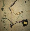 IMG_20220127_184208_160.jpg