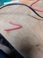 PXL_20220204_032906206.jpg