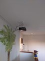 PXL_20220128_003847688.jpg