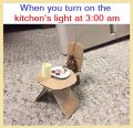 799fb0e8-3180-4020-9d6e-1ac29cbb1ef8.jpg