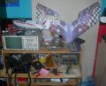 DSCN5531.jpg