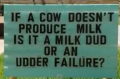 1648310310331.png