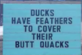 1648310633948.png